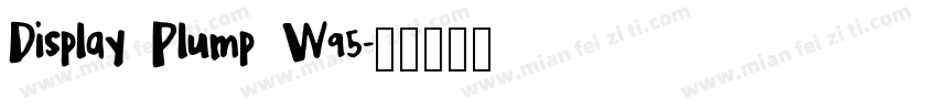 Display Plump W95字体转换